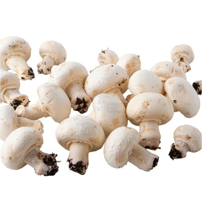 Шампиньоны свежие 500 г - купить в Озёрном